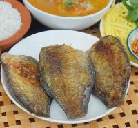 Cá Sặc Campuchia 1 Nắng Size Đại 